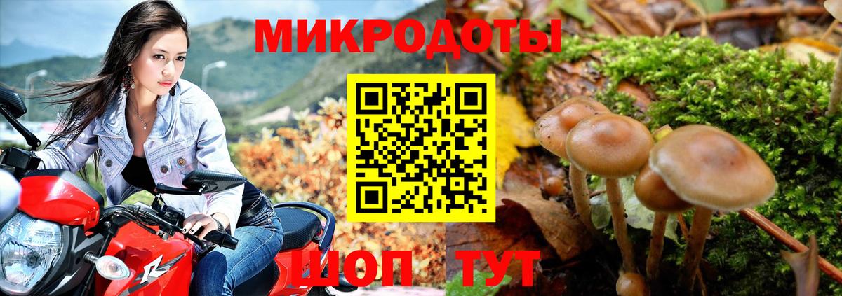 Псилоцибиновые грибы прущие грибы Людиново