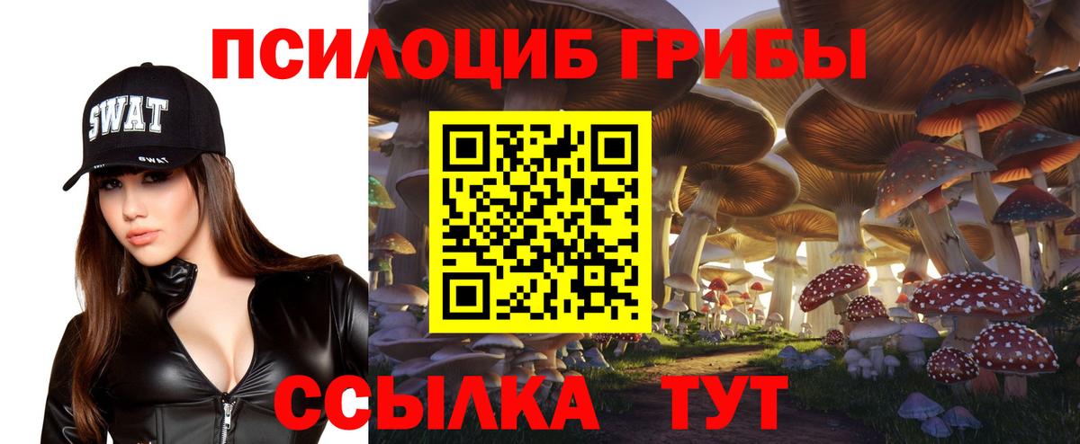 Галлюциногенные грибы Psilocybe  Галлюциногенные грибы Cubensis  Людиново  Вход с VPN 